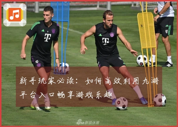 新手玩家必读：如何高效利用九游平台入口畅享游戏乐趣