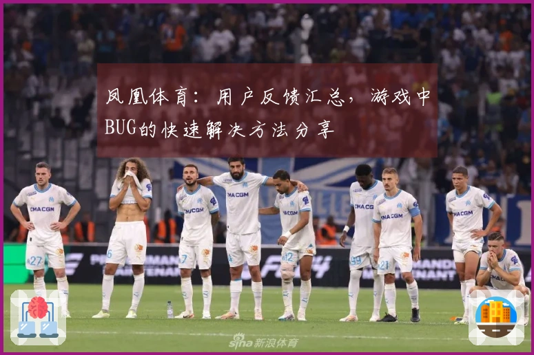 凤凰体育：用户反馈汇总，游戏中BUG的快速解决方法分享